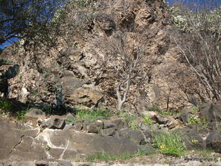 Valle del Loddiero